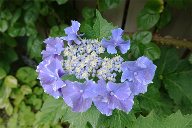 DSC08408_R