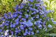 DSCF2464_R