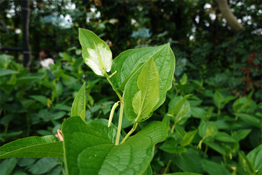 DSC08180_R