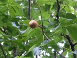 DSCF2813_R