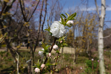 DSC06201_R