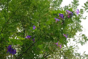 DSC08112_R