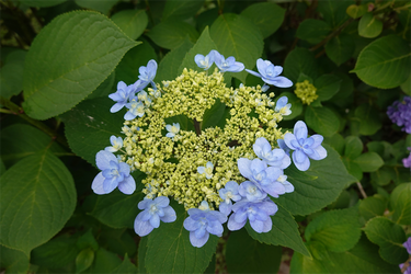 DSC08152_R