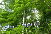 DSCF4586_R