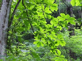 DSCF0947_R