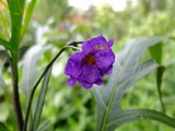 DSCF2303_R