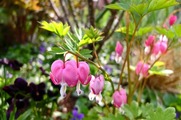 DSCF0666_R
