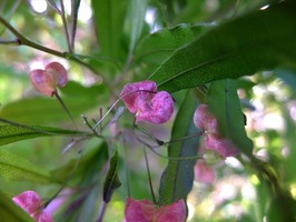 DSCF5948_R