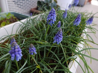 DSCF4807_R