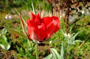 DSCF1944_R