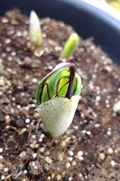 DSCF1483_R