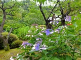 DSCF2611_R