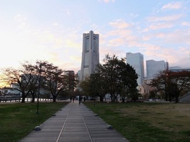 DSCF5920