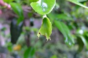 DSCF2942_R