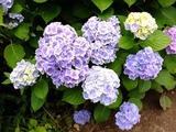 DSCF2272_R