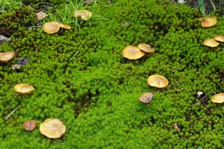 DSC02319_R