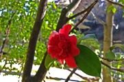 DSCF2041_R