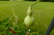 DSCF3902_R