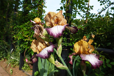 DSC07147_R