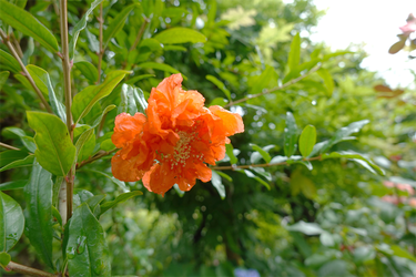 DSC08558_R