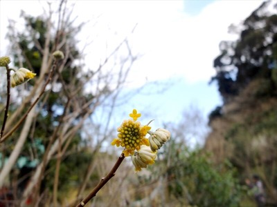 DSCF1194_R