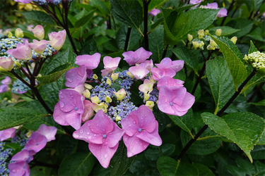 DSC08043_R