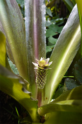 DSC08508_R