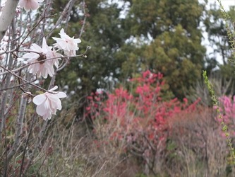 DSCF8643_R