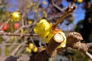 DSCF0714_R