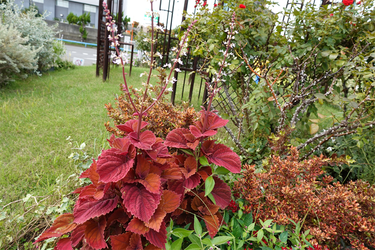 DSC07642_R