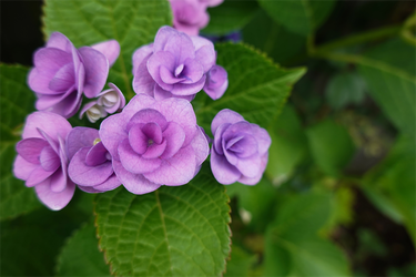 DSC08421_R