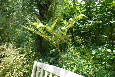 DSC08868_R