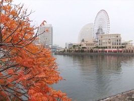 DSCF6057_R