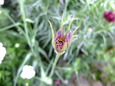 DSCF3191_R