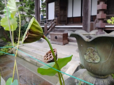 DSCF5372_R