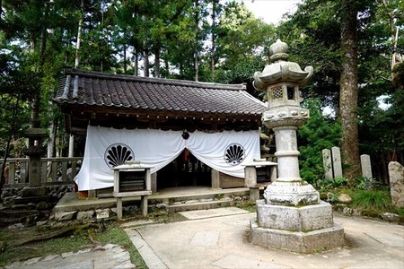 DSC02422_R
