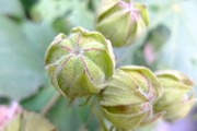 DSCF6941_R