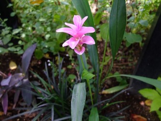 DSCF1604_R