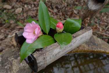 DSC05667_R