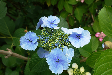 DSC08070_R