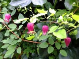 DSCF2119_R