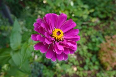 DSC09039_R
