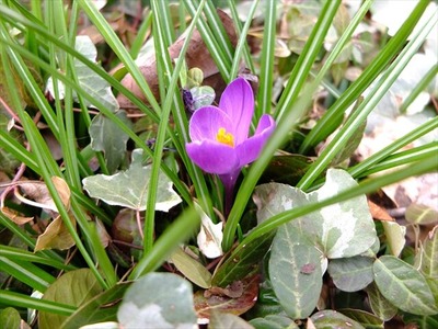 DSCF1459_R