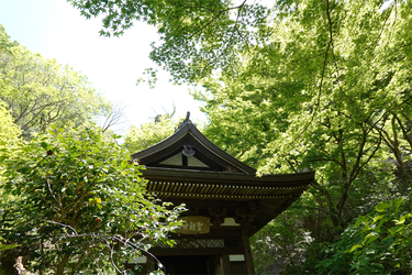 DSC01316_R