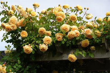 DSC07670_R