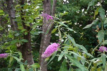 DSC08444_R