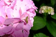DSCF3063_R