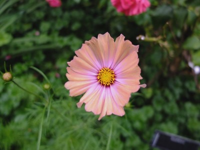DSCF5593_R