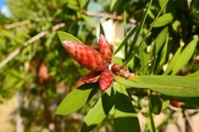 DSCF2495_R
