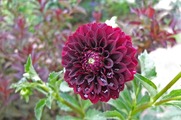 DSCF4999_R